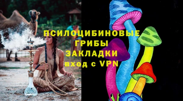 трава Арсеньев
