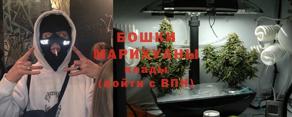 трава Арсеньев